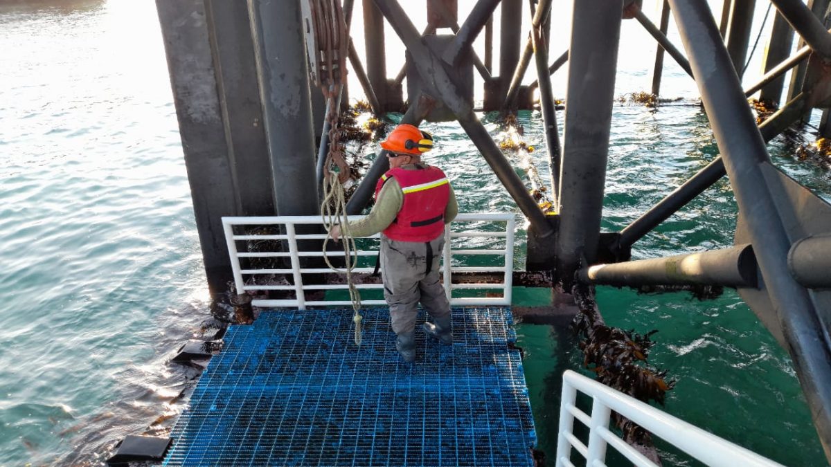 Restauración de Muelle de Quintay en su fase final