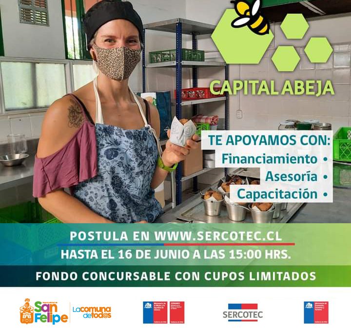 Fomento Productivo de la Municipalidad de san Felipe invitó a emprendedoras a postular a fondo Capital Abeja 2021
