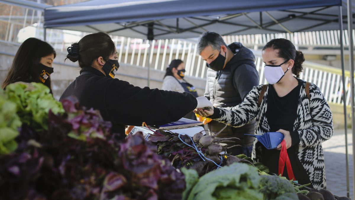 Mercado campesino de INDAP funcionará este Miércoles en Viña del Mar