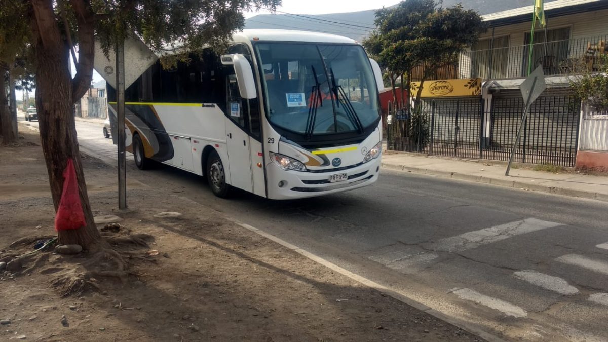 Disponen de buses gratuitos para que personas de zonas rurales concurran a votar el próximo Domingo