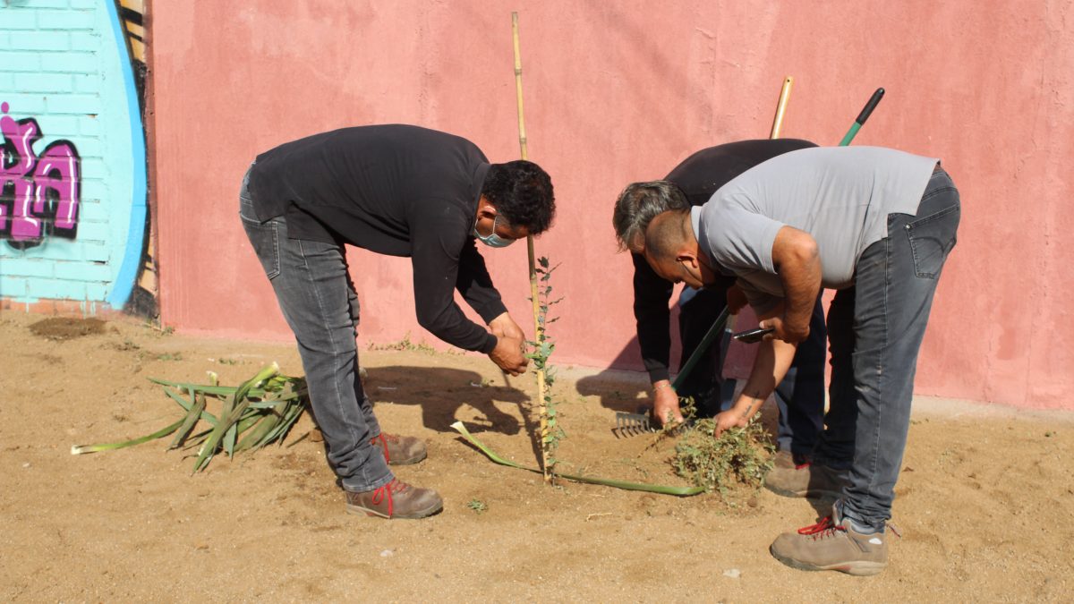 Municipio de Llay Llay declara Estado de Emergencia Climática y Ecológica en la comuna