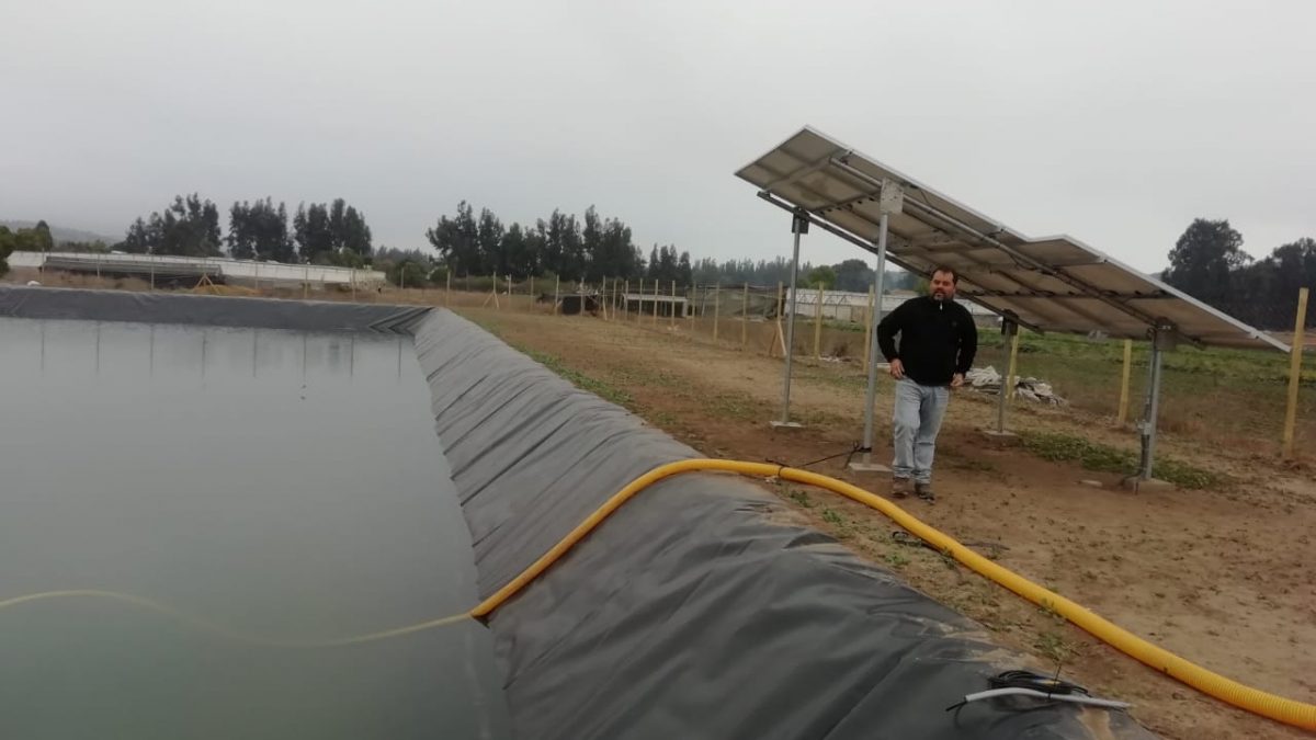 Con nuevo tranque habilitación de pozo y paneles solares mejoran riego a cooperativa de Longotoma