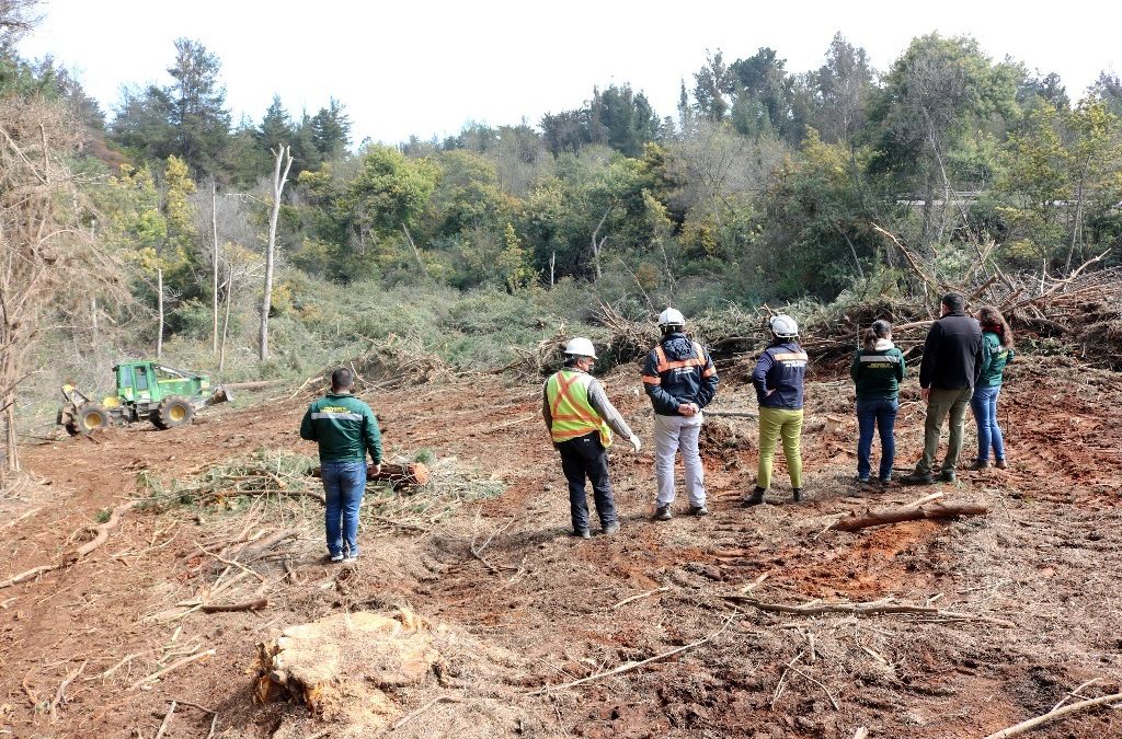 Refuerzan trabajos en las zonas de interfaz para prevenir incendios forestales