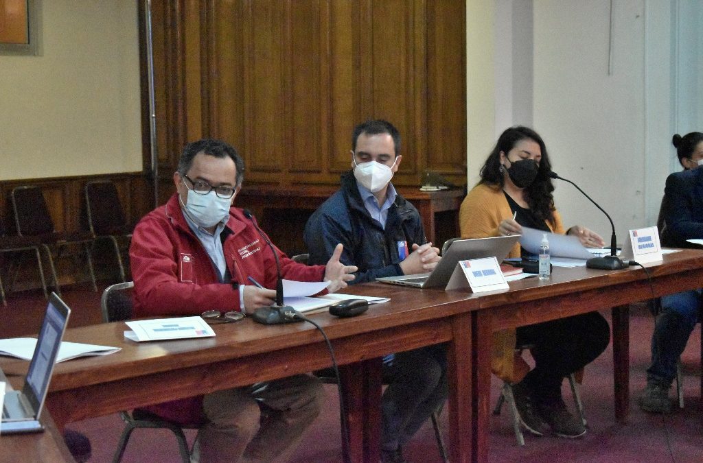 Comité para la Gestión del Riesgo de Desastres de la Región de Valparaíso aprueba el Plan Regional de Emergencias Forestales