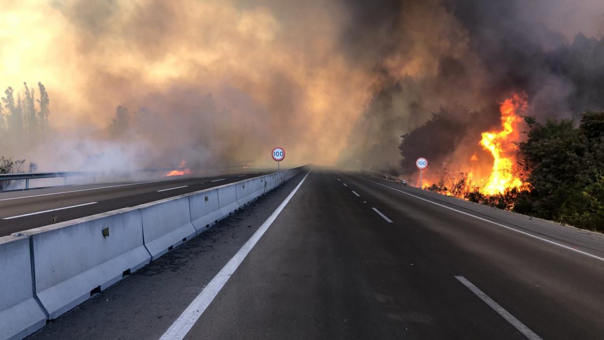 Delegado Jorge Martínez e incendios forestales: “Perseguiremos a quienes cometen este delito”