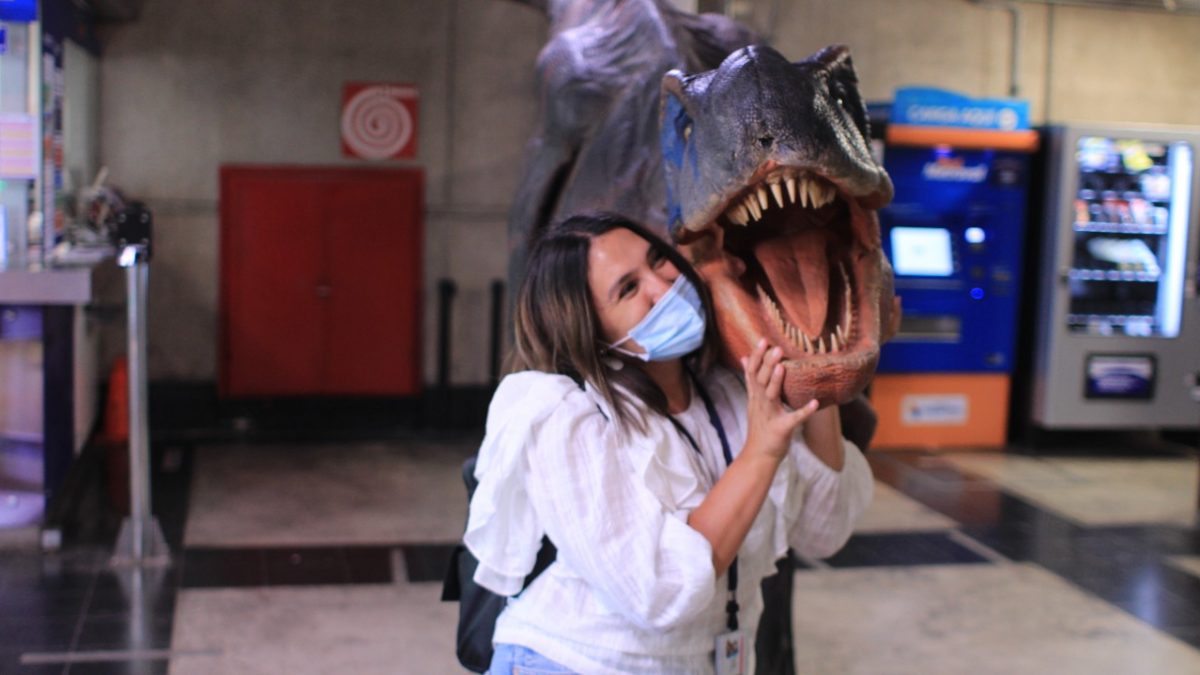 Dinosaurio sorprende a pasajeros del tren Limache-Puerto