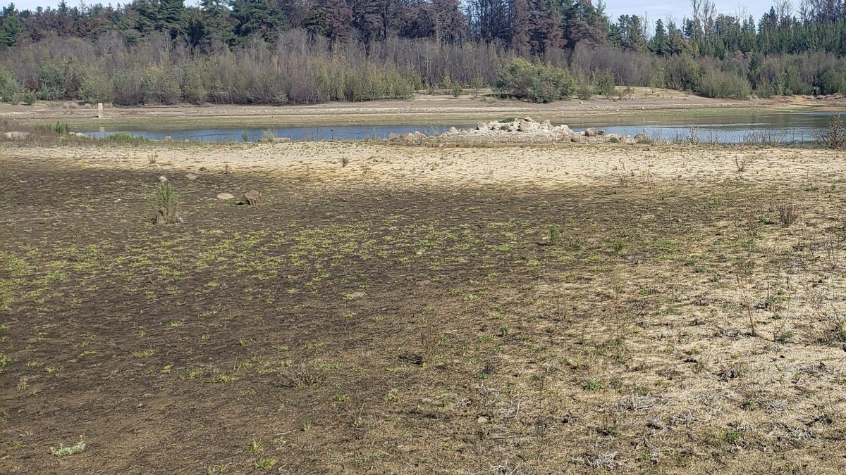 Esval: lluvias son insuficientes para revertir situación de extrema sequía en la región