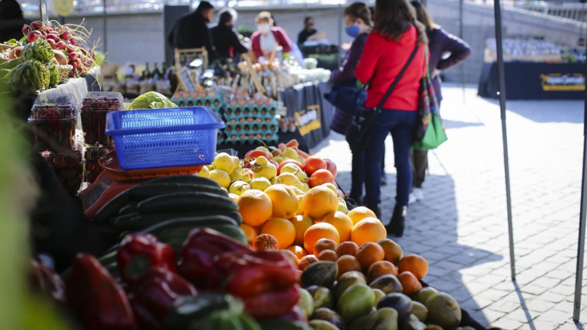 INDAP potencia mercados campesinos en la región para fortalecer reactivación y empleo