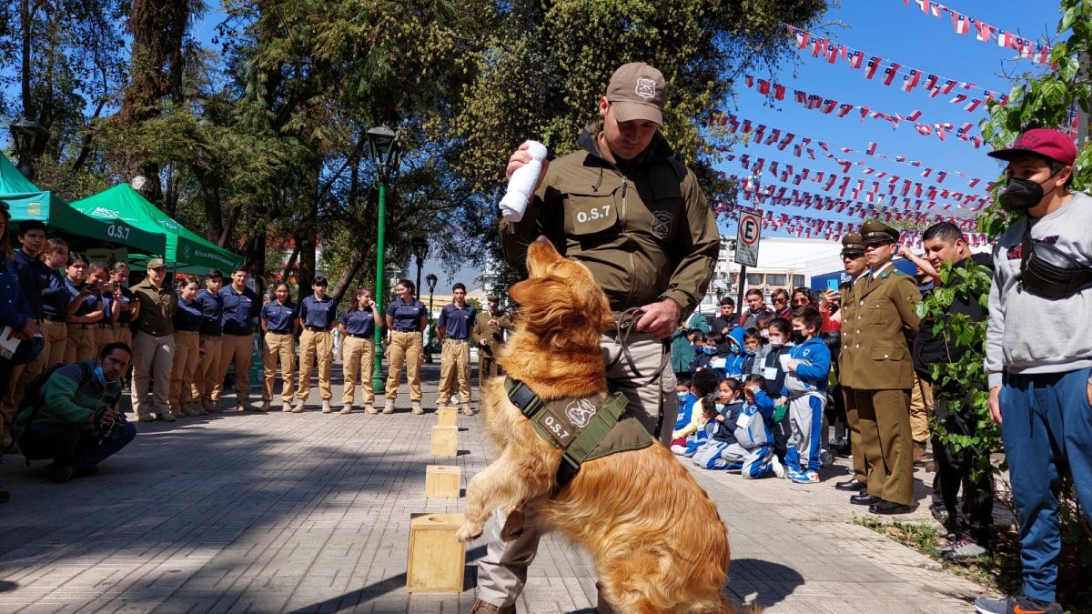 GRAN CANTIDAD DE PÚBLICO ASISTIÓ A LA “VI EXPO CARABINEROS ACONCAGUA” EN LA PLAZA DE ARMAS DE SAN FELIPE