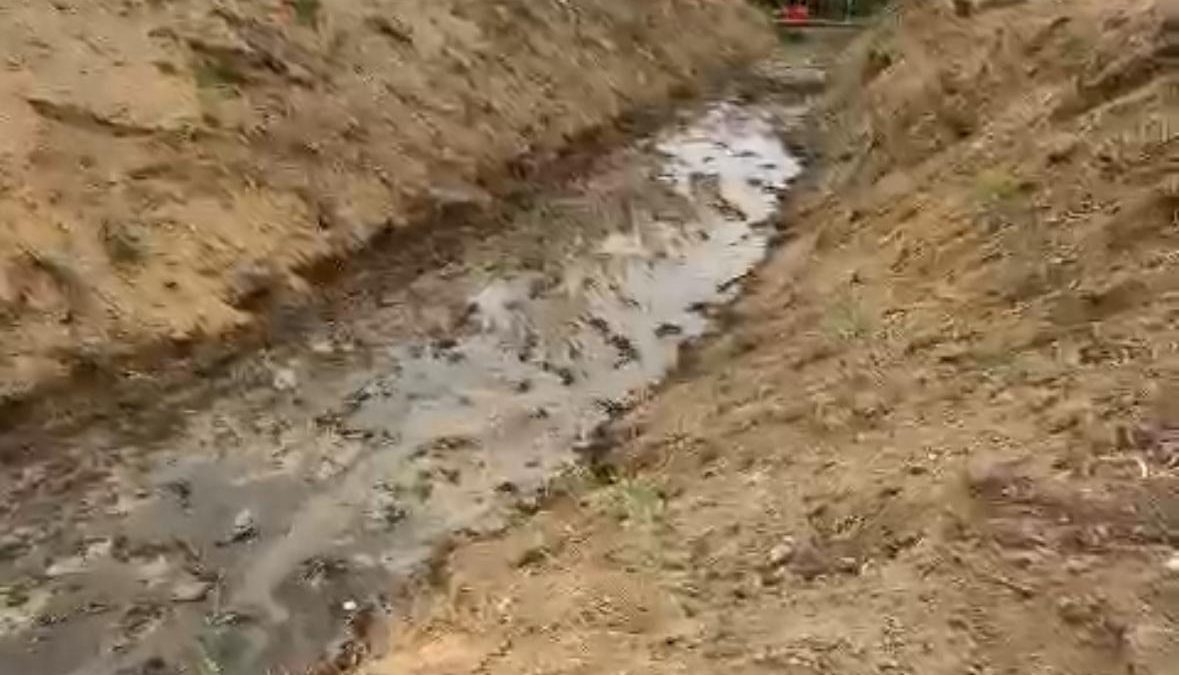 Autoridades exigen fiscalización por daños al Estero Quilpué
