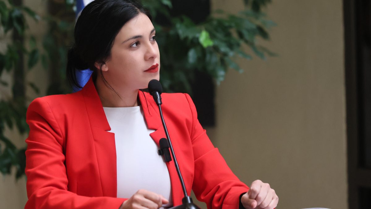 Diputada Karol Cariola alerta por alto impacto de las alzas en la cuenta de la luz y llama al Gobierno a renegociar contratos