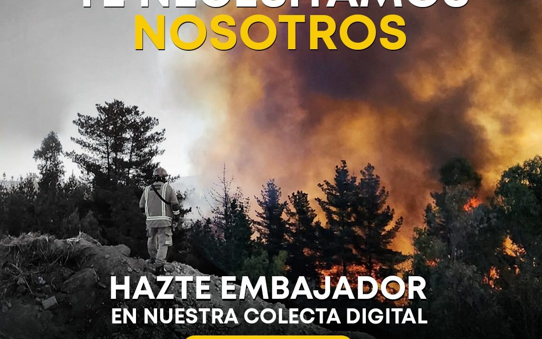 Tercera Compañía de Valparaíso inició campaña digital para recaudar fondos para comprar 50 uniformes nuevos para enfrentar incendios forestales