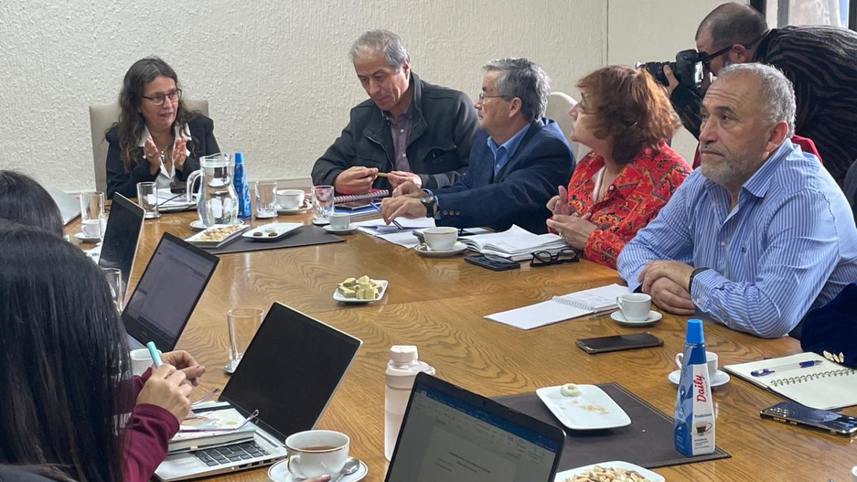 Colegio de Profesores se declara en estado de alerta ante pocos avances a su agenda corta por parte del MINEDUC