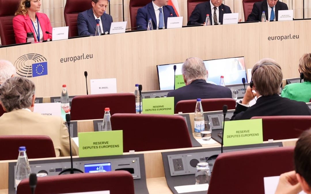 Senadores y Diputados de Chile se reúnen con Eurodiputados para fortalecer lazos con la Unión Europea en la 29° Reunión de la Comisión Parlamentaria Mixta Chile-UE